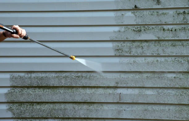 Best Sidewalk and Walkway Pressure Cleaning in Venice, IL